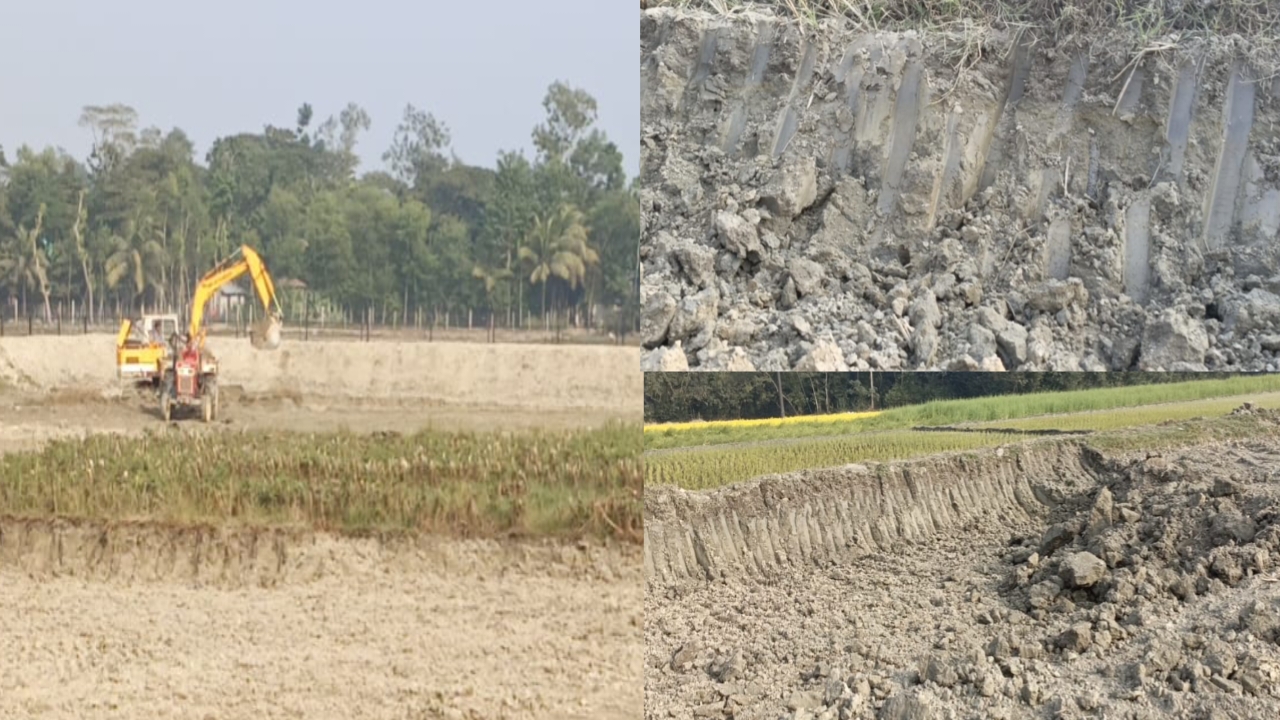 কচুয়া কেঁপে উঠছে ফসলি জমি ধ্বংসে, প্রশাসন নীরব”