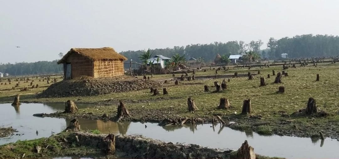 নিঝুমদ্বীপ জাতীয় উদ্যানে দখল উৎসব -বন উজাড় করে বসতবাড়ী–দোকান নির্মাণ, প্রভাবশালীদের বিরুদ্ধে গুরুতর অভিযোগ।