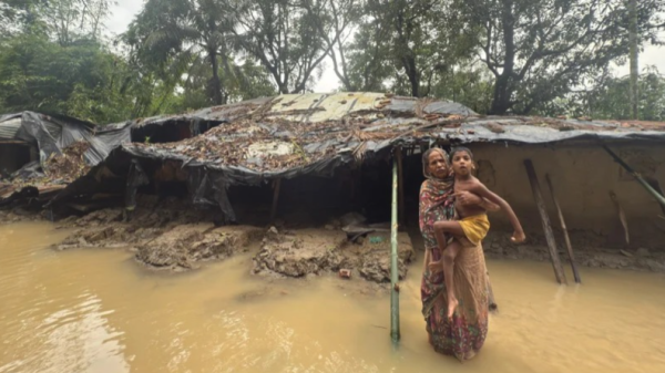 পেকুয়া উপজেলার টৈটং ইউনিয়নের দক্ষিণ সোনাইছড়ি ভেলুয়াপাড়া থেকে তোলা